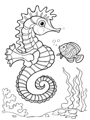 Balık boyama sayfası,  coloring page, Büyük denizatı, 