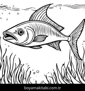 Balık boyama sayfası,  coloring page, , 