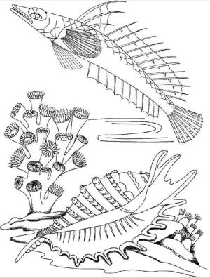 Balık boyama sayfası,  coloring page, Denizaltı dünyası, 