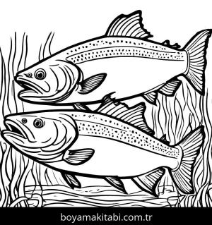 Balık boyama sayfası,  coloring page, , 