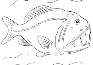 Balık boyama sayfası,  coloring page, Yırtıcı piranha balığı, 