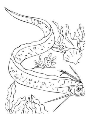 Balık boyama sayfası,  coloring page, Yılan balığı., 