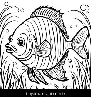 Balık boyama sayfası,  coloring page, , 