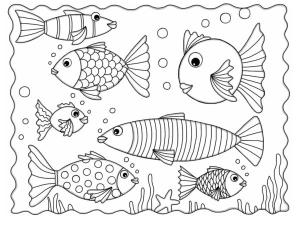 Balık boyama sayfası,  coloring page, Farklı şekil ve boyutlarda balıklar, 