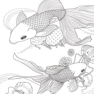 Balık boyama sayfası,  coloring page, 2 Güzel Japon Balığı, 