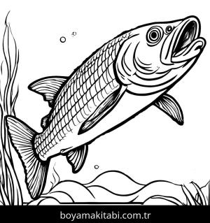 Balık boyama sayfası,  coloring page, , 
