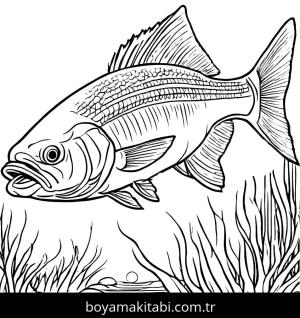 Balık boyama sayfası,  coloring page, , 