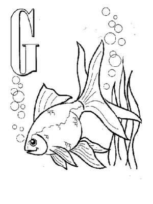 Balık boyama sayfası,  coloring page, G-Japon Balığı, 