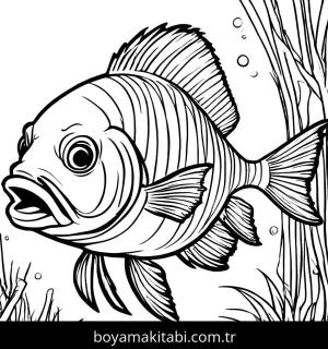 Balık boyama sayfası,  coloring page, , 