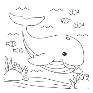 Balina boyama sayfası, Whales coloring page, Üç Balıklı Komik Balina, 