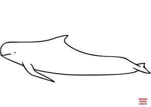 Balina boyama sayfası, Whales coloring page, , whales long finned pilot whale 