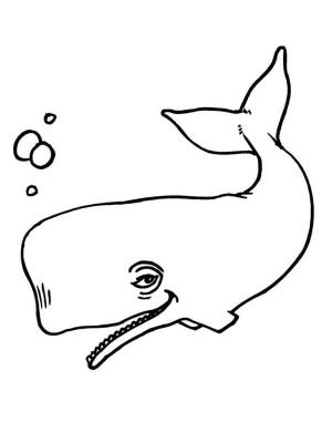 Balina boyama sayfası, Whales coloring page, Komik Balina, 