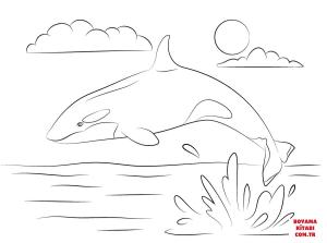 Balina boyama sayfası, Whales coloring page, , whales cute killer whale is jumping out of water 