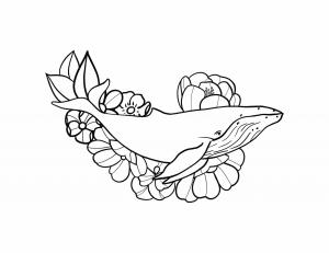 Balina boyama sayfası, Whales coloring page, Çiçekli Balina, 