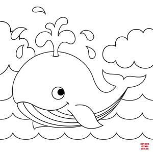 Balina boyama sayfası, Whales coloring page, , whales cute whale 