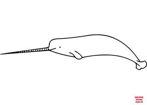 Balina boyama sayfası, Whales coloring page, , whales narwhal 