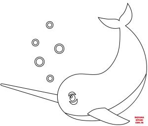 Balina boyama sayfası, Whales coloring page, , whales narwhal 