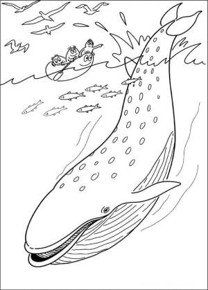 Balina boyama sayfası, Whales coloring page, Barbapapa ve Balina, 