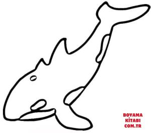 Balina boyama sayfası, Whales coloring page, , whales orca whale 