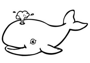 Balina boyama sayfası, Whales coloring page, Balina çizimi, 