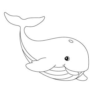 Balina boyama sayfası, Whales coloring page, Eğlenceli Balina, 