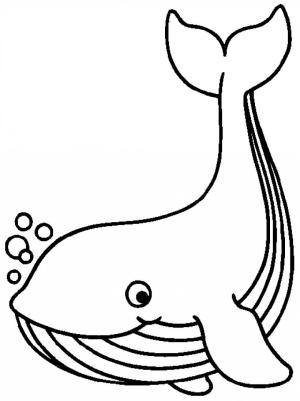 Balina boyama sayfası, Whales coloring page, Balina Temel Çizimi, 