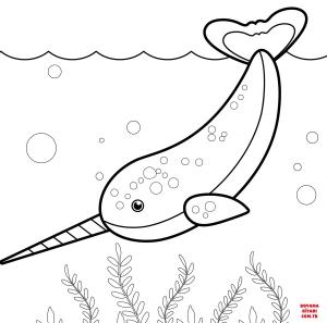 Balina boyama sayfası, Whales coloring page, , whales narwhal 