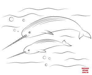 Balina boyama sayfası, Whales coloring page, , whales narwhal with cute calve 