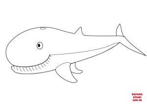 Balina boyama sayfası, Whales coloring page, , whales cute whale 