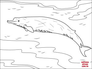 Balina boyama sayfası, Whales coloring page, , whales bairds beaked whale 