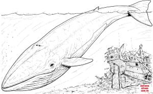 Balina boyama sayfası, Whales coloring page, , whales blue whale and sinking boat 