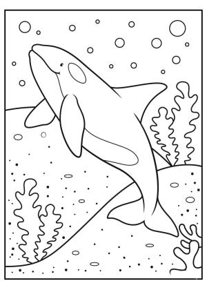 Balina boyama sayfası, Whales coloring page, Temel Balina, 