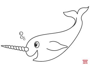 Balina boyama sayfası, Whales coloring page, , whales narwhal 