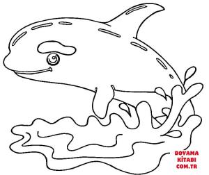 Balina boyama sayfası, Whales coloring page, , whales little killer whale 