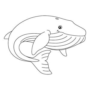 Balina boyama sayfası, Whales coloring page, Özgür Balina, 