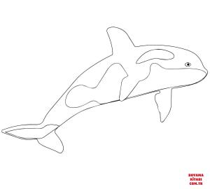 Balina boyama sayfası, Whales coloring page, , whales killer whale or orca 