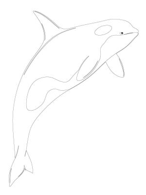 Balina boyama sayfası, Whales coloring page, , whales orca whale shamu 