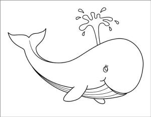 Balina boyama sayfası, Whales coloring page, Gülümseyen Balina, 