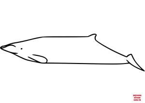 Balina boyama sayfası, Whales coloring page, , whales ginkgo toothed beaked whale 