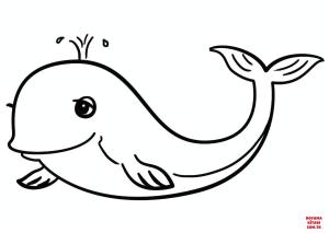 Balina boyama sayfası, Whales coloring page, , whales cartoon whale 