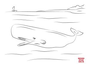 Balina boyama sayfası, Whales coloring page, , whales cute sperm whale 