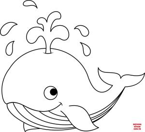 Balina boyama sayfası, Whales coloring page, , whales cute whale 