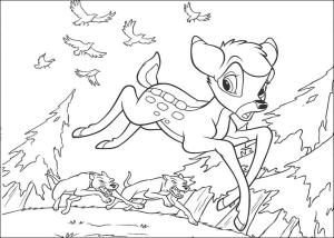 Bambi 2 boyama sayfası,  coloring page, Bambi Koşusu, 