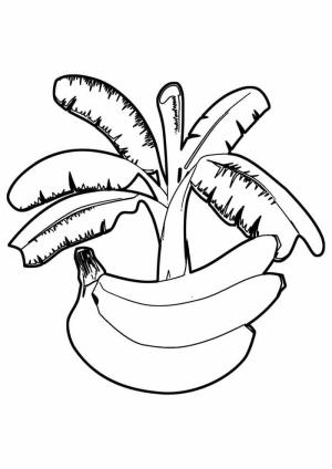 Muz boyama sayfası,  coloring page, Banana e Bananeira, 