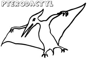 Basit boyama sayfası,  coloring page, Basit Pterodaktil, 