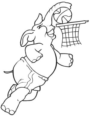 Basketbol boyama sayfası,  coloring page, 23 numaralı oyuncu, 