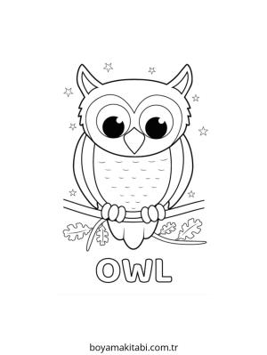 Baykuş boyama sayfası – yaratıcılık, eğlenceli etkinlik