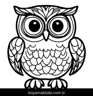 Baykuş boyama sayfası 50904,  coloring page, 