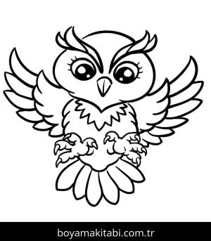 Baykuş boyama sayfası 50883,  coloring page, 