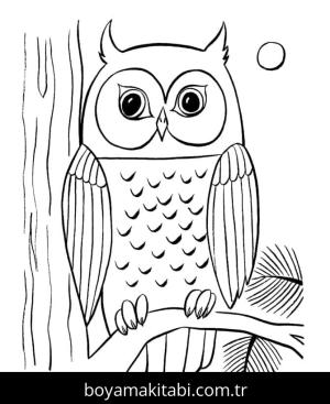 Baykuş boyama sayfası 50896,  coloring page, 